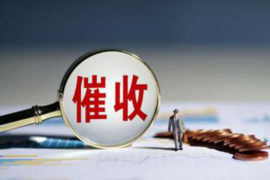 贾冰要账玩具枪,揭秘明星维权背后的故事 贾冰要账玩具枪,揭秘明星维权背后的故事