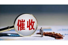 郑州打官司要账：实战经验分享与案例分析