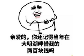 陕西帮忙要账群：破解欠款难题的社交新途径