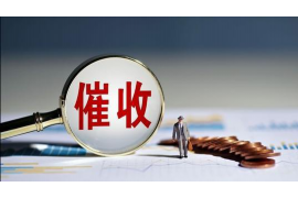 欠账的狗要账的狗,解析债务催收行业现状与挑战 欠账的狗要账的狗,解析债务催收行业现状与挑战