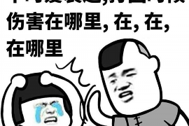 韩国电影《黑帮要账》女主角：揭开复仇背后的故事