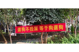 银行要账需要哪些